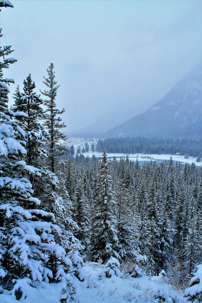 冬季仙境图片下载