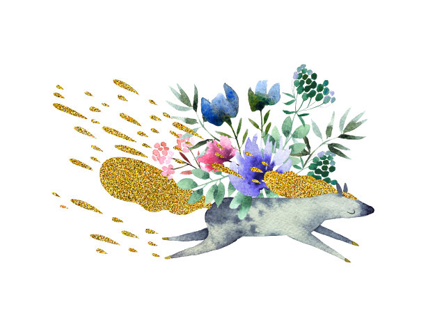 水彩花与动物图片下载