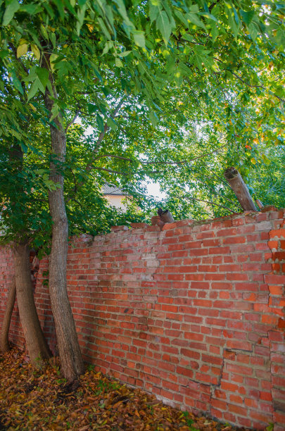 倒下的砖墙在秋天图片下载