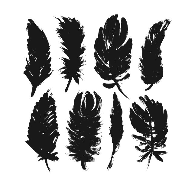羽毛轮廓集合。矢量手绘元素。素材图片