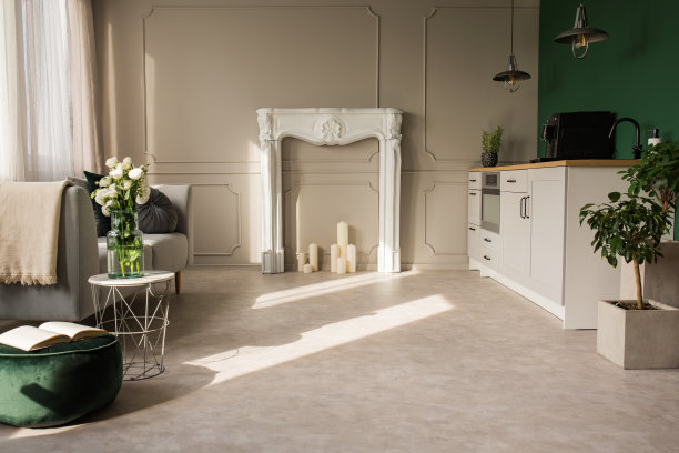 开放式厨房和带有植物的客厅，灰色壁炉门上插着蜡烛图片下载