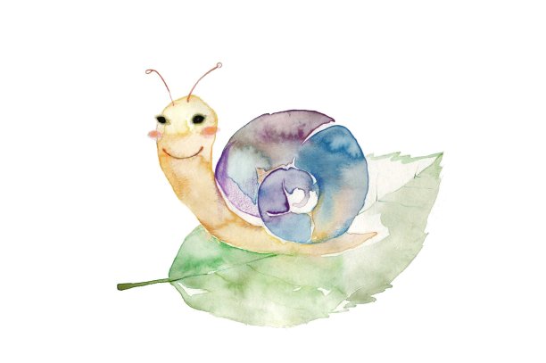 蜗牛图片下载