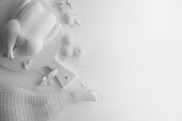 白色的肉，火腿，鸡肉，香草和香料在白色的背景上的黑白构图。带有文本拷贝空间的横幅。俯视图上有一组食物。图片下载