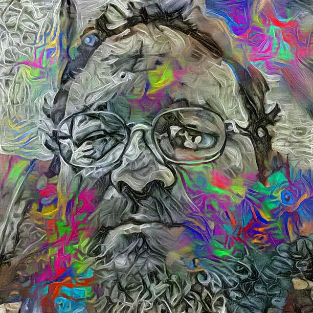 戴眼镜的胡子男人图片下载