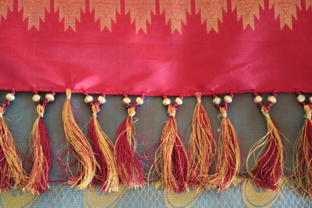 纱丽镶边设计时尚图片下载