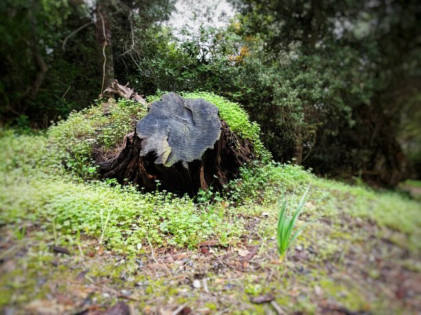 五彩缤纷的大自然图片下载