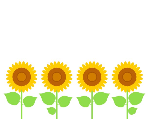 向日葵图片下载