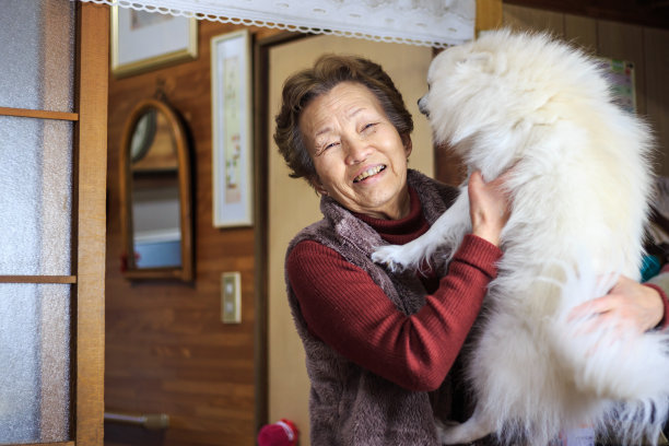 抱狗的老年妇女图片下载