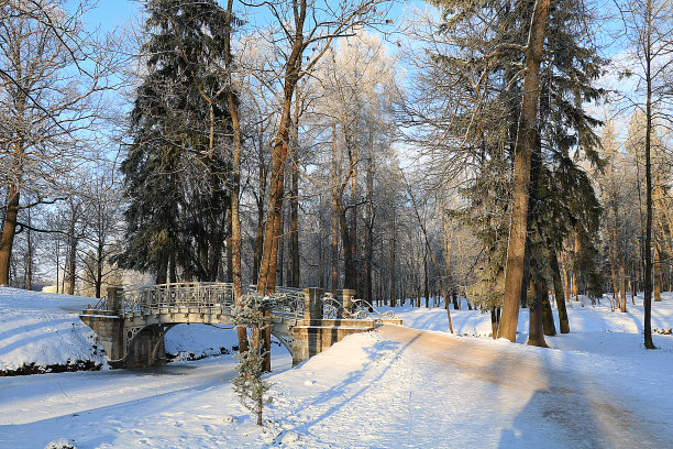 在俄罗斯的冬天，一个下雪后的寒冷的一天，在俄罗斯的一个村庄图片下载