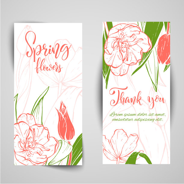 素描线性郁金香花。图片下载