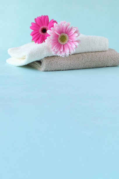 非洲菊花束和毛巾图片下载