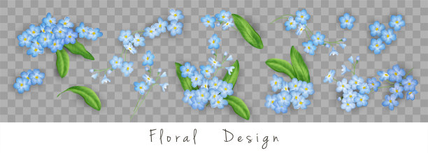 向量花集图片下载