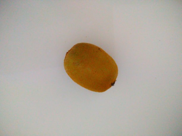 白色背景上的奇异果图片下载