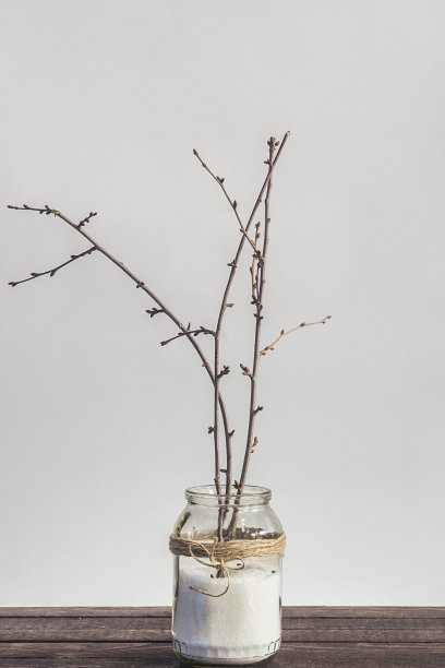 花瓶里的花枝装饰着复活节彩蛋图片下载