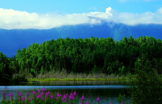 加斯佩西一条河流和奇乔克山脉的美丽风景，前景上有杂草图片下载