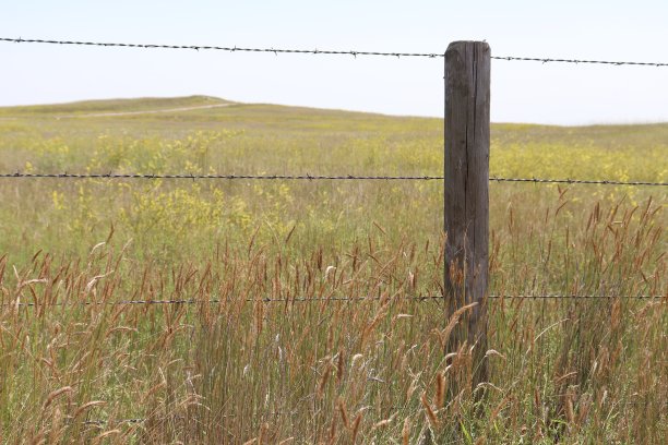 击剑的美丽图片下载