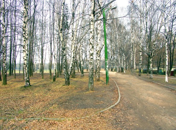 城市公园的春天图片下载