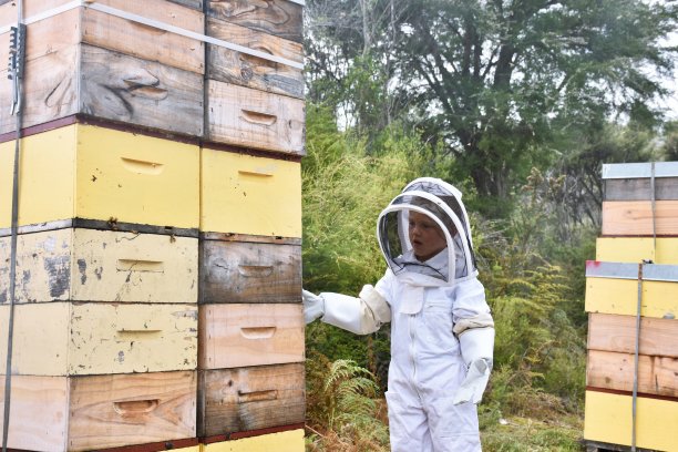 穿着蜜蜂装的小孩，还有蜂箱图片下载