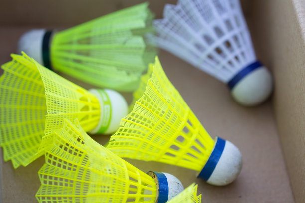 盒子里的羽毛球图片下载