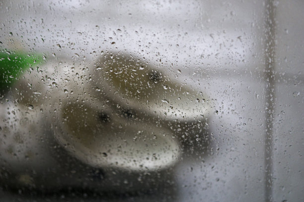 小雨打在窗口图片下载