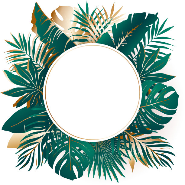 热带模板。圆形的白色框架与绿色和金色的棕榈叶，叶怪兽和香蕉复制空间。夏季模板广告，水疗，设计，派对，海报，婚礼，网页。图片下载