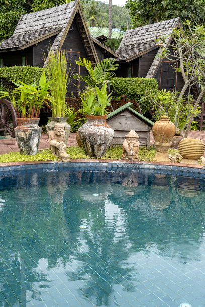 泰国热带花园中的游泳池图片下载