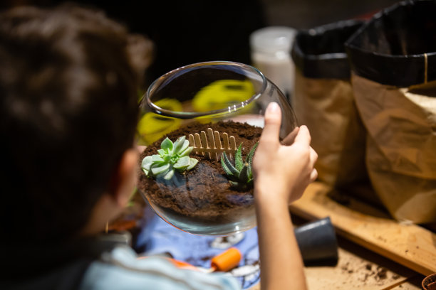 制作泰瑞姆图片下载