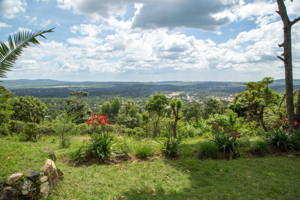 埃塞俄比亚：金卡图片下载
