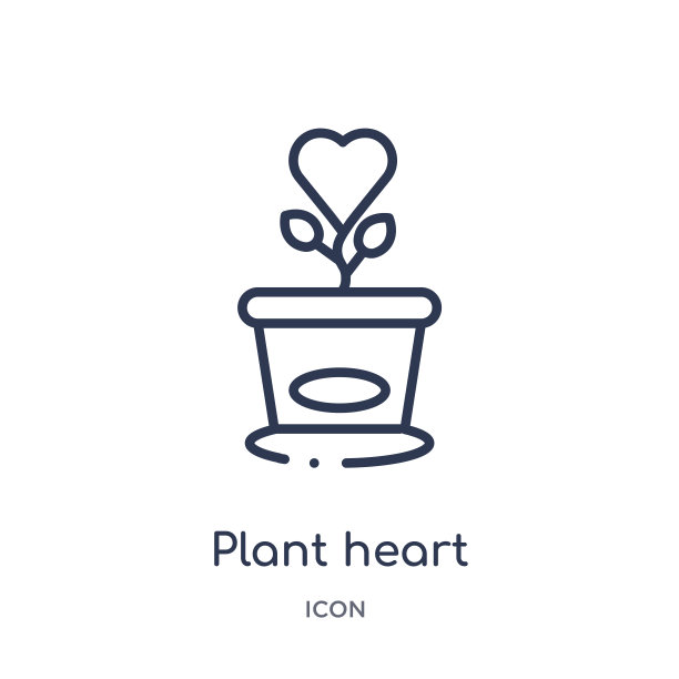 线性植物心脏图标从慈善大纲收集。白色背景上分离的细线植物心脏载体。植物心潮流插画图片下载