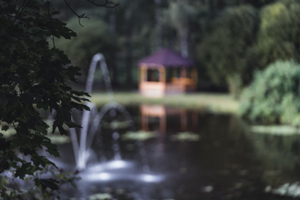 穆迪，黑暗的照片木制的夏天花园房子在一个公园，在树林之间的公园喷泉附近-聚焦在前景的叶子-饱和，Vintage Look，秋天的一天图片下载