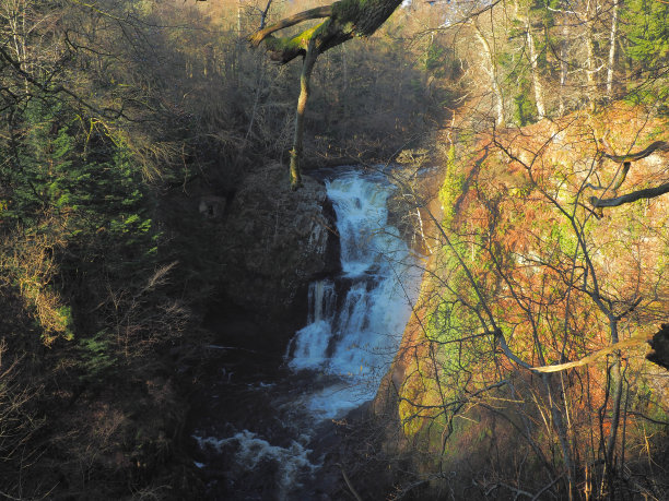 瀑布在树林中。图片下载