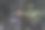 穆迪，黑暗的照片，木制的夏天花园房子在一个公园，在树林之间的公园喷泉附近-饱和，复古的看，秋天的一天图片下载