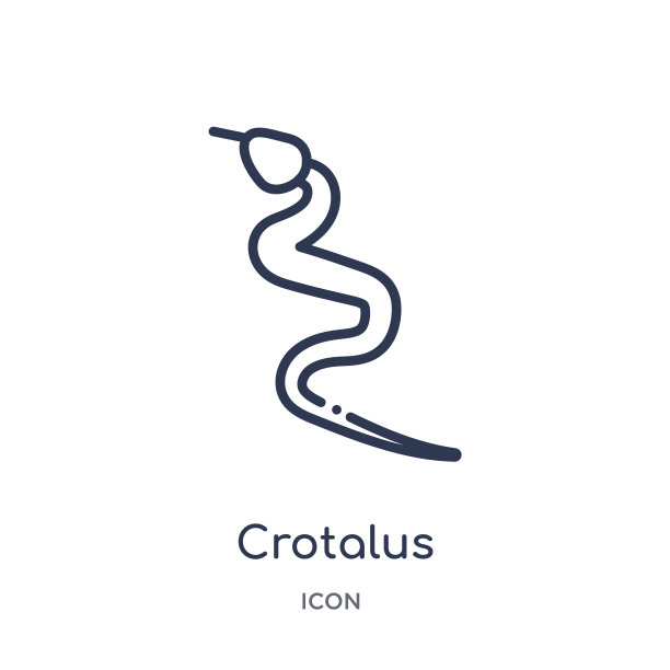 线性响尾蛇图标从沙漠轮廓集合。细线响尾蛇矢量孤立在白色背景。crotalus时尚插图图片下载