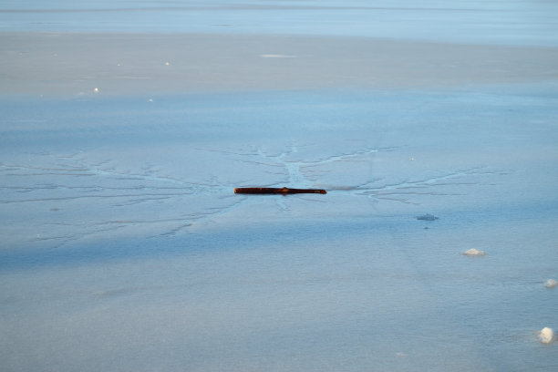 鹿湖冻图片下载