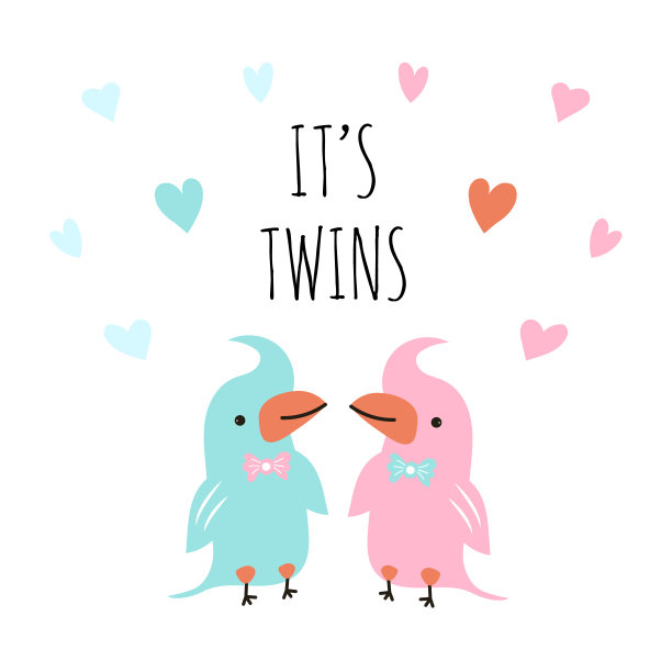 为婴儿送礼会设计一个模板卡。可爱有趣的鹦鹉和周围的心。孩子生日的海报上写着“是双胞胎”。图片下载