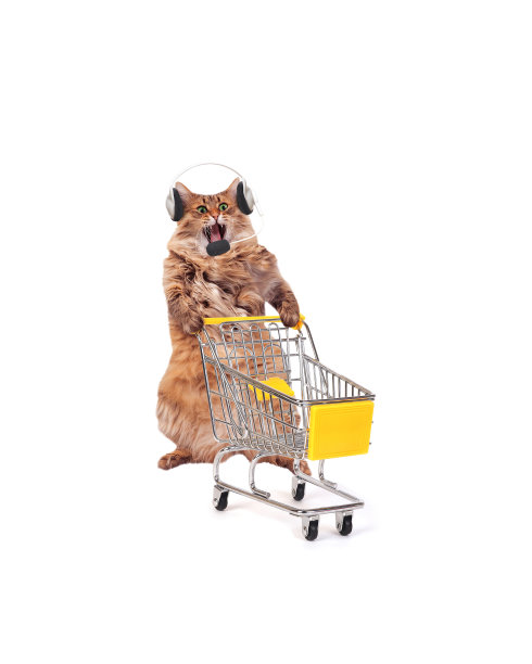 大毛绒绒的猫与购物车隔离在白色.. 10号图片下载