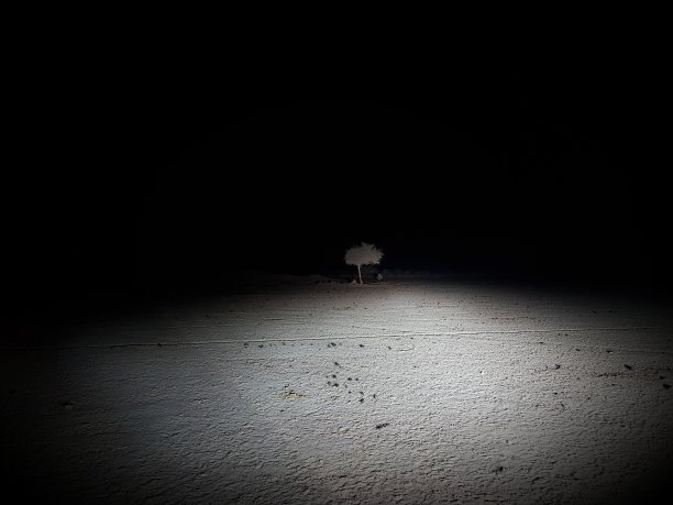 孤独的图片下载