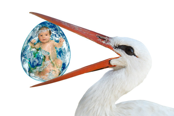 叼着蛋的鹳和一个婴儿图片下载