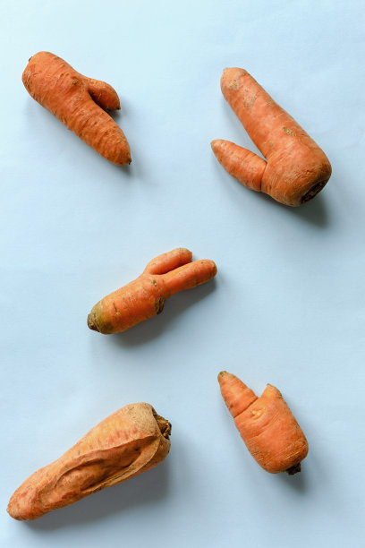 蓝色背景下又干又丑的胡萝卜图片下载