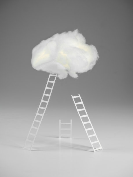 鳞片在carta上图片下载