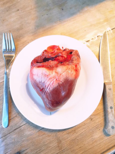 猪的心脏，解剖学，器官图片下载