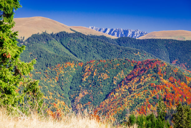 喀尔巴阡山脉，秋天，罗马尼亚图片下载