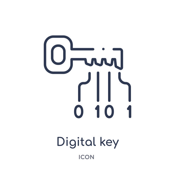 线性数字钥匙图标从加密货币经济和金融大纲收集。细线数字键矢量隔离在白色背景上。数码钥匙潮流插画图片下载