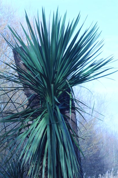 新的增长图片下载