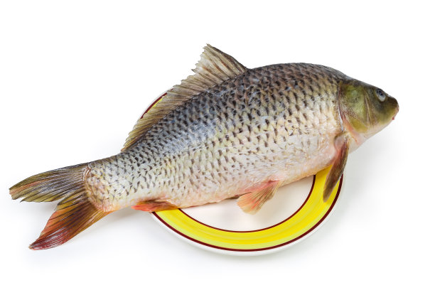 生鲤鱼准备烹饪的菜肴特写图片下载