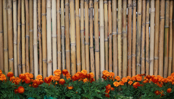 木质背景和花卉图片下载