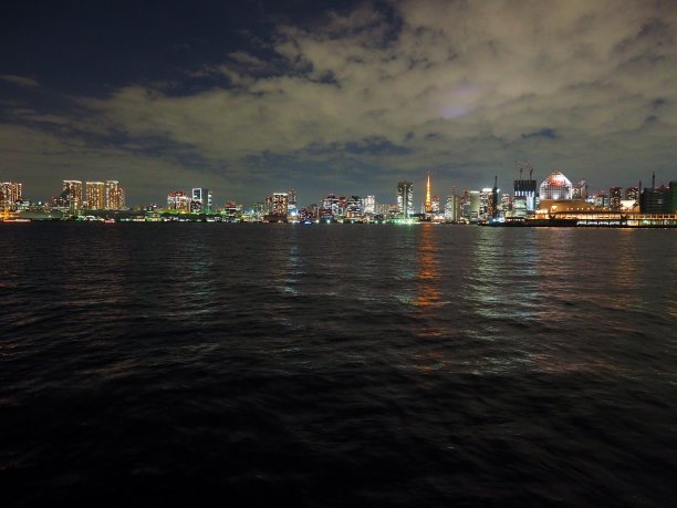 东京都海湾地区的夜景图片下载
