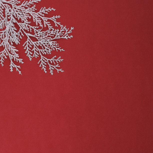 在左上角有一个带有银色闪光的小枝的方形红色纹理图片下载