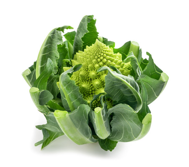 罗马花椰菜图片下载