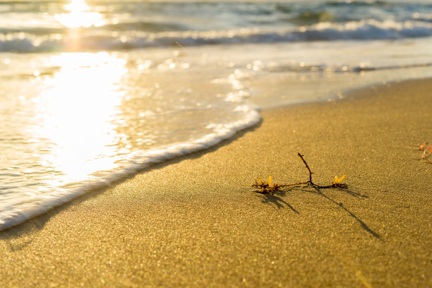 越南phuquoc岛日落海滩图片下载